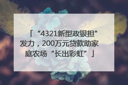 “4321新型政银担”发力，200万元贷款助家庭农场“长出彩虹”