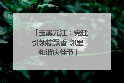 玉溪元江：党建引领粽飘香 邻里和谐庆佳节