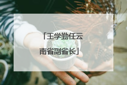 王学勤任云南省副省长