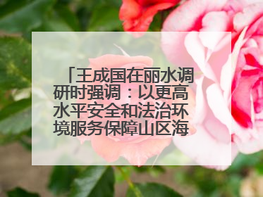 王成国在丽水调研时强调：以更高水平安全和法治环境服务保障山区海岛县高质量发展
