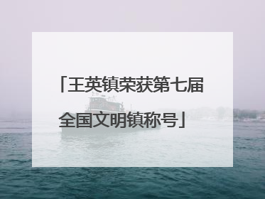 王英镇荣获第七届全国文明镇称号