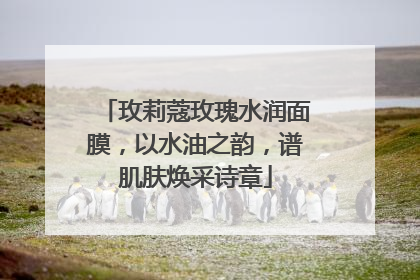 玫莉蔻玫瑰水润面膜，以水油之韵，谱肌肤焕采诗章