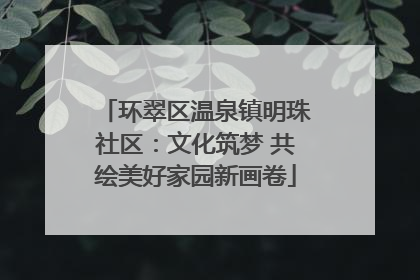 环翠区温泉镇明珠社区：文化筑梦 共绘美好家园新画卷