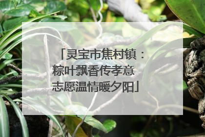 灵宝市焦村镇：粽叶飘香传孝意 志愿温情暖夕阳