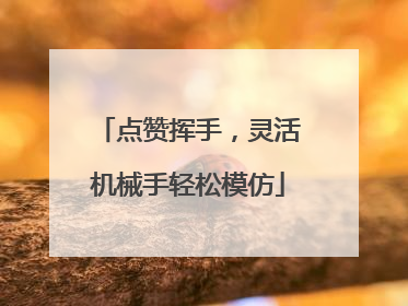 点赞挥手，灵活机械手轻松模仿