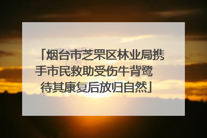 烟台市芝罘区林业局携手市民救助受伤牛背鹭 待其康复后放归自然