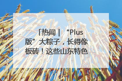 热闻｜“Plus版”大粽子，长得像板砖！这些山东特色粽子你吃过吗？