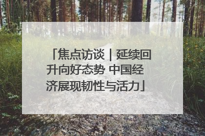 焦点访谈｜延续回升向好态势 中国经济展现韧性与活力
