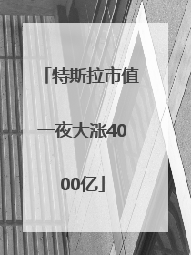 特斯拉市值一夜大涨4000亿