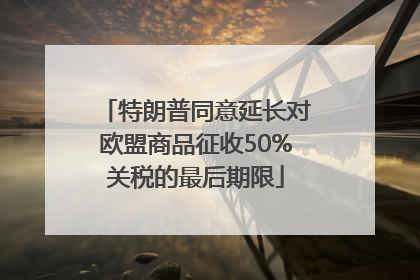 特朗普同意延长对欧盟商品征收50%关税的最后期限