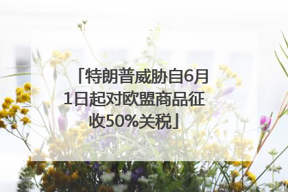 特朗普威胁自6月1日起对欧盟商品征收50%关税