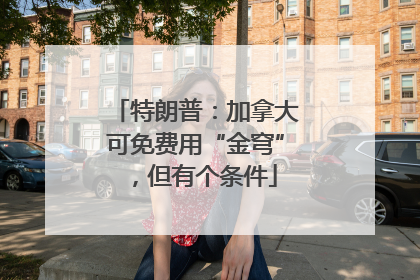 特朗普：加拿大可免费用“金穹”，但有个条件