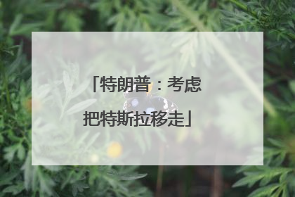 特朗普：考虑把特斯拉移走