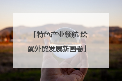 特色产业领航 绘就外贸发展新画卷