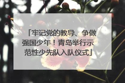 牢记党的教导、争做强国少年！青岛举行示范性少先队入队仪式