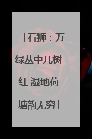 石狮：万绿丛中几树红 湿地荷塘韵无穷