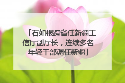 石如根跨省任新疆工信厅副厅长，连续多名年轻干部调任新疆