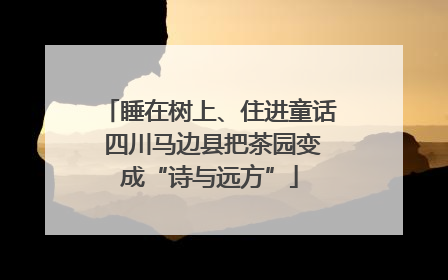 睡在树上、住进童话 四川马边县把茶园变成“诗与远方”