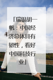 瑞银胡一帆：中国经济总体具有韧性，看好中国科技行业