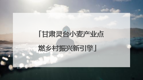 甘肃灵台小麦产业点燃乡村振兴新引擎
