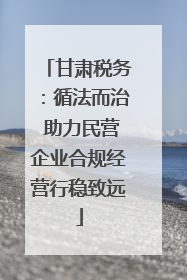甘肃税务：循法而治 助力民营企业合规经营行稳致远