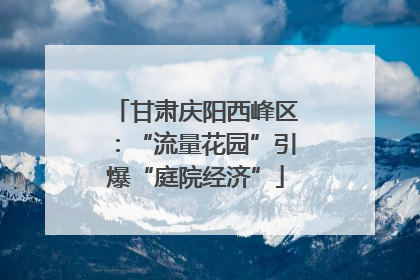 甘肃庆阳西峰区：“流量花园”引爆“庭院经济”