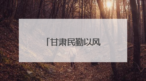 甘肃民勤以风治沙：用自然之力修复自然