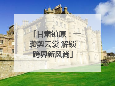 甘肃镇原：一袭剪云裳 解锁跨界新风尚