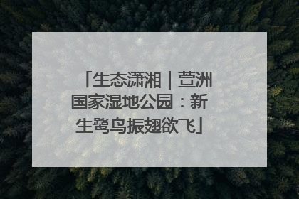 生态潇湘｜萱洲国家湿地公园：新生鹭鸟振翅欲飞