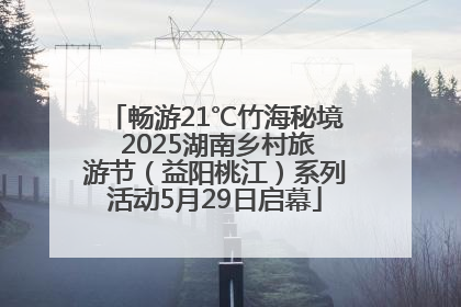 畅游21℃竹海秘境 2025湖南乡村旅游节（益阳桃江）系列活动5月29日启幕