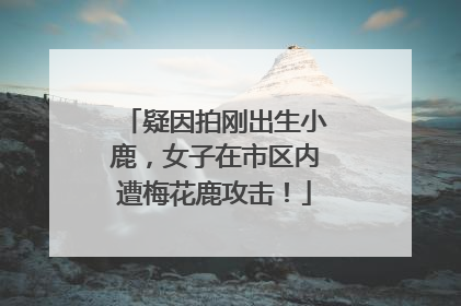 疑因拍刚出生小鹿，女子在市区内遭梅花鹿攻击！