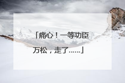 痛心！一等功臣万松，走了……