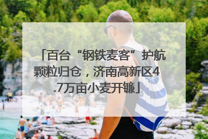 百台“钢铁麦客”护航颗粒归仓，济南高新区4.7万亩小麦开镰