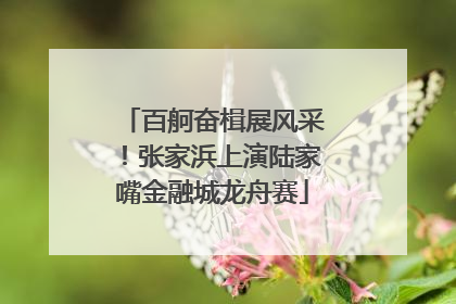 百舸奋楫展风采！张家浜上演陆家嘴金融城龙舟赛
