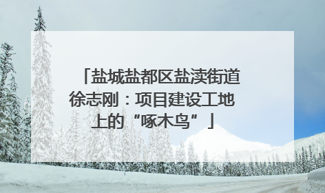 盐城盐都区盐渎街道徐志刚：项目建设工地上的“啄木鸟”