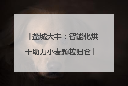 盐城大丰：智能化烘干助力小麦颗粒归仓