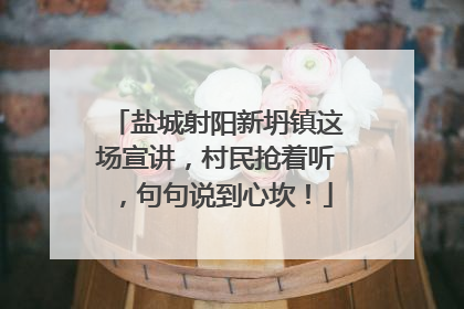 盐城射阳新坍镇这场宣讲，村民抢着听，句句说到心坎！