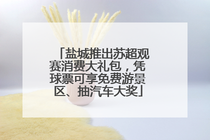 盐城推出苏超观赛消费大礼包，凭球票可享免费游景区、抽汽车大奖