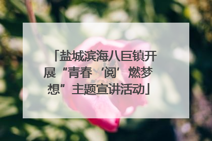 盐城滨海八巨镇开展“青春‘阅’燃梦想”主题宣讲活动