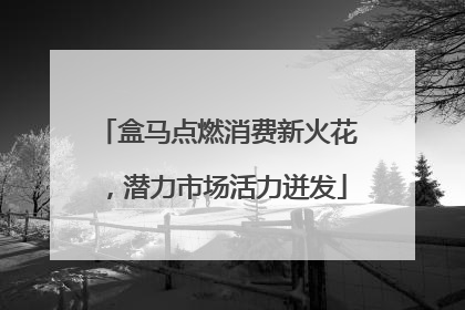 盒马点燃消费新火花，潜力市场活力迸发