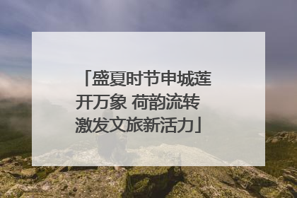 盛夏时节申城莲开万象 荷韵流转激发文旅新活力