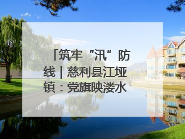 筑牢“汛”防线｜慈利县江垭镇：党旗映溇水 清淤见担当