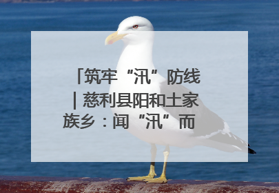 筑牢“汛”防线｜慈利县阳和土家族乡：闻“汛”而动 全员下沉筑牢防汛“安全堤”