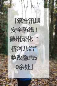 筑牢汛期安全防线！德州深化“桥河共治”整改隐患50余处