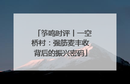 筝鸣时评丨一空桥村：强筋麦丰收背后的振兴密码