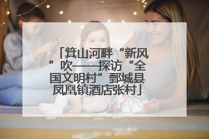箕山河畔“新风”吹——探访“全国文明村”鄄城县凤凰镇酒店张村