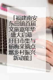 福建南安东田镇首届文旅嘉年华盛大启幕 圩日市集与杨梅采摘点燃乡村振兴新动能