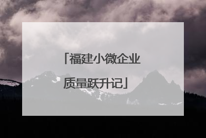 福建小微企业质量跃升记