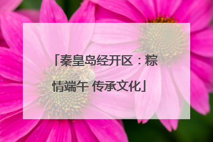 秦皇岛经开区：粽情端午 传承文化