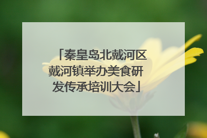秦皇岛北戴河区戴河镇举办美食研发传承培训大会